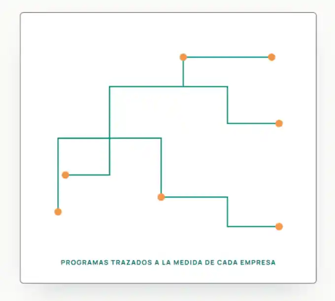 Esquema que representa un programa de formación en inteligencia artificial  de Befoun  adaptado a las necesidades de cada empresa
